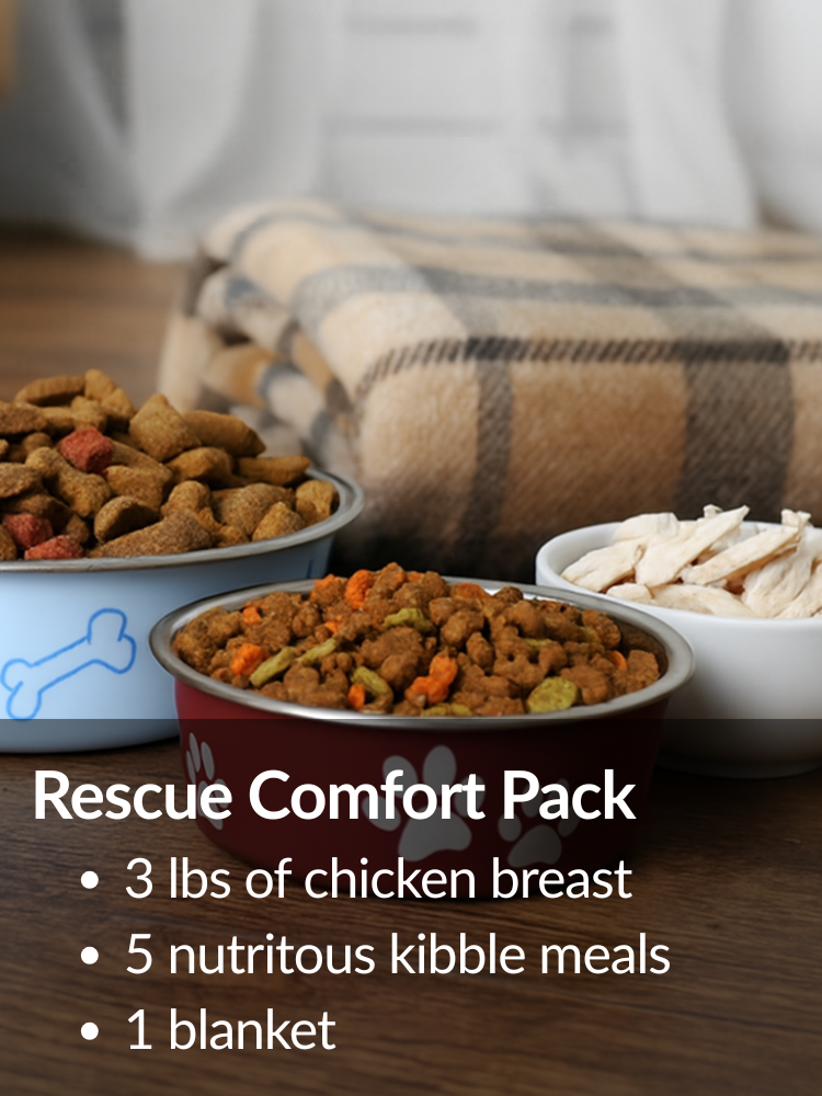 Rescue Comfort Pack