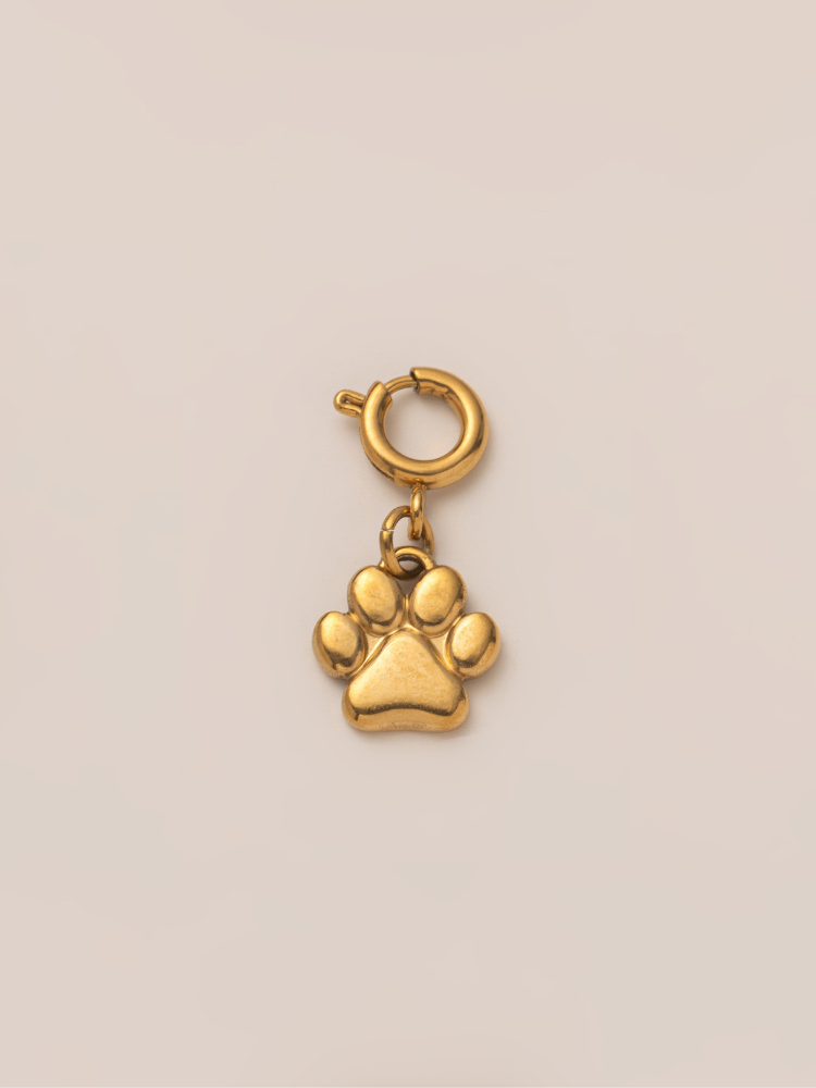 Lucky Steps Charm