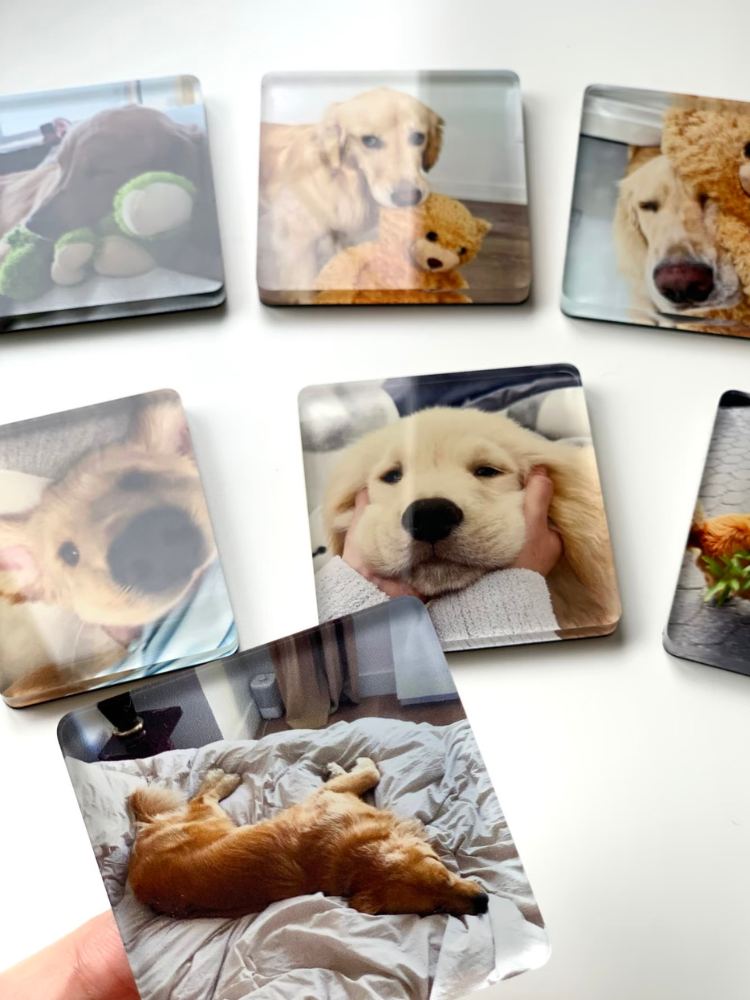 Estuche para retrato de mascota Follow My Path Home