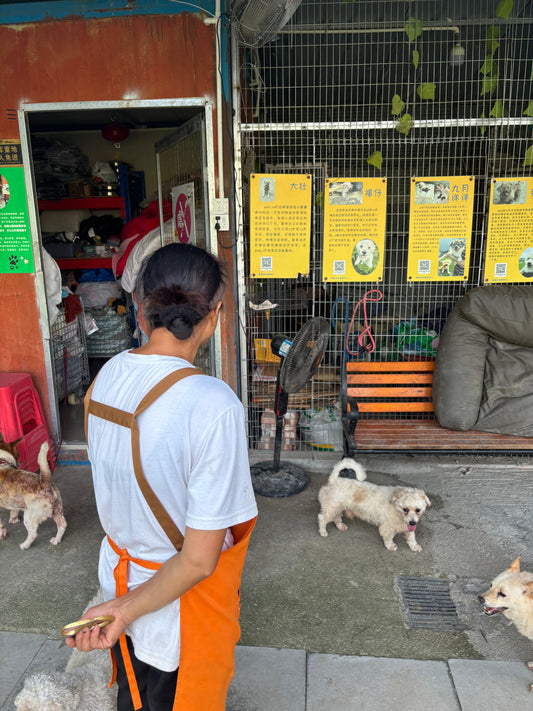 The Night She Slept Beside 50 Dogs 💤