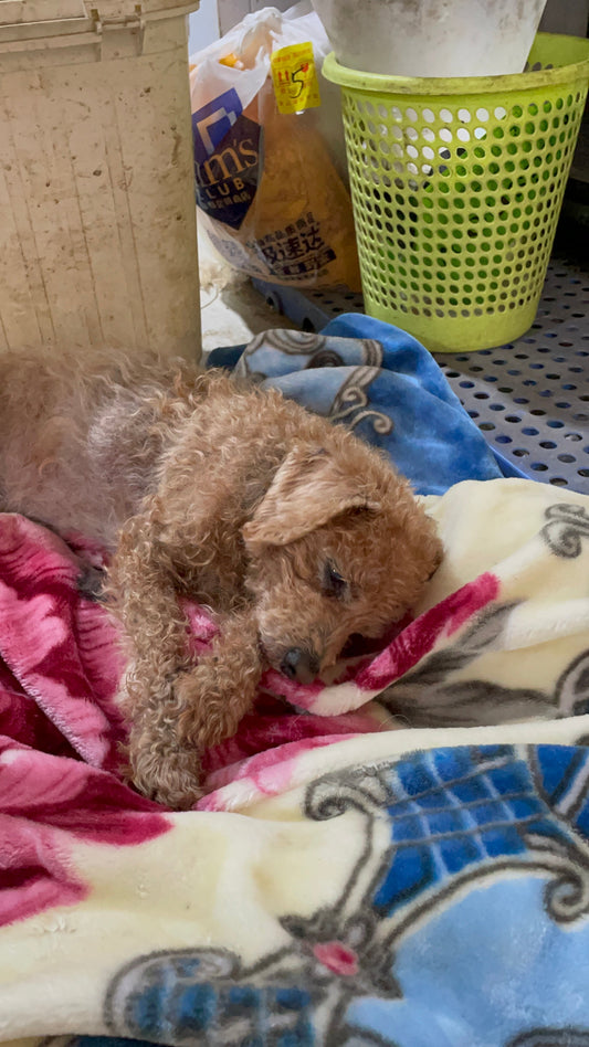 300 Souls and a Two-Year Clock