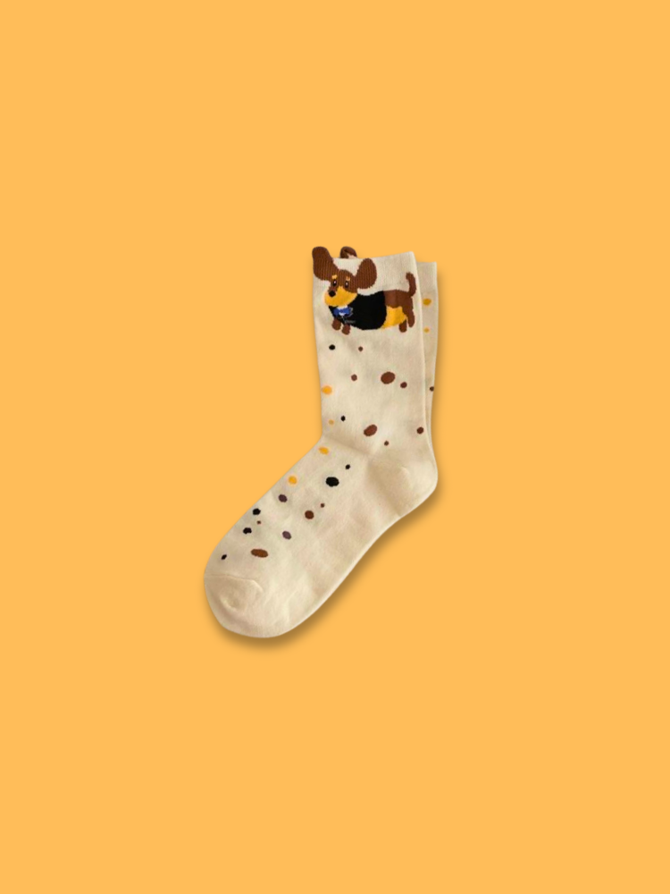 Little Dogs Socks 3-Pack Bundle