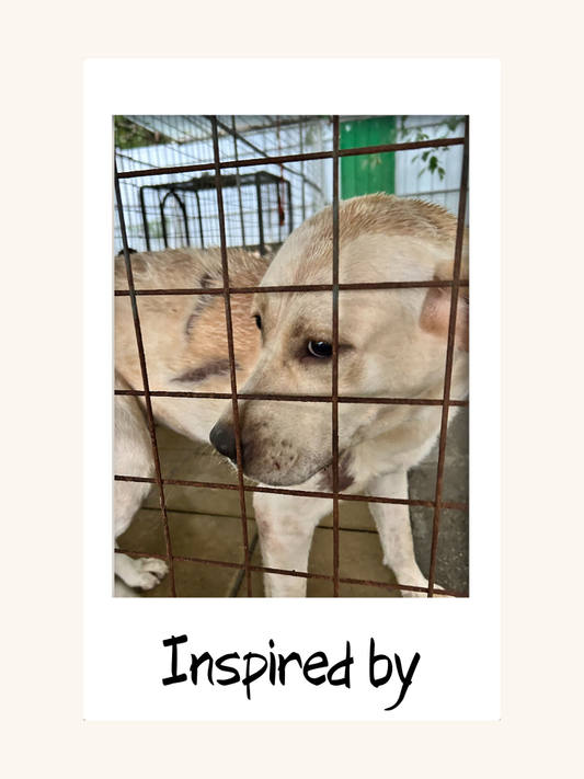 Ready for Winter Phone Case