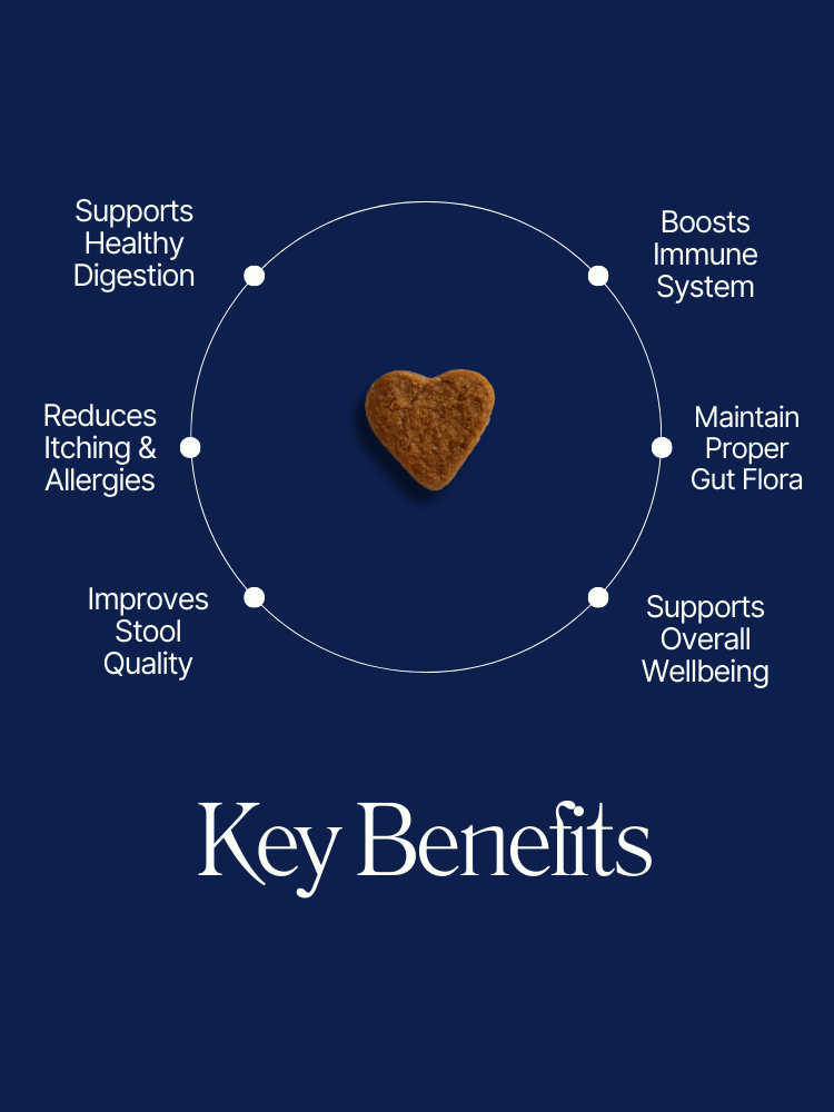 PawliBar Everyday Wellness Probiotic Chew for Digestive & Immune Health