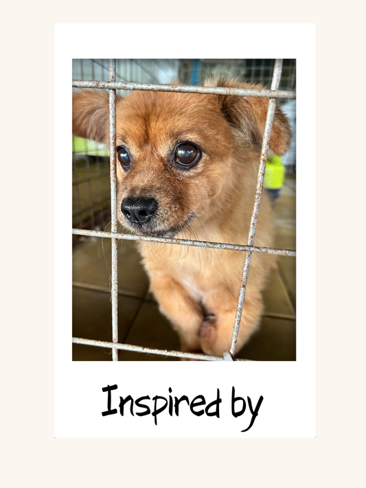 Cocoa Dachshund Leather Charm