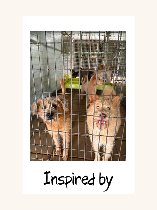 Found Each Other Phone Case