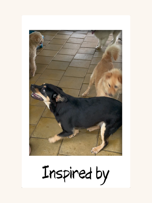 Worth the Joy Phone Case