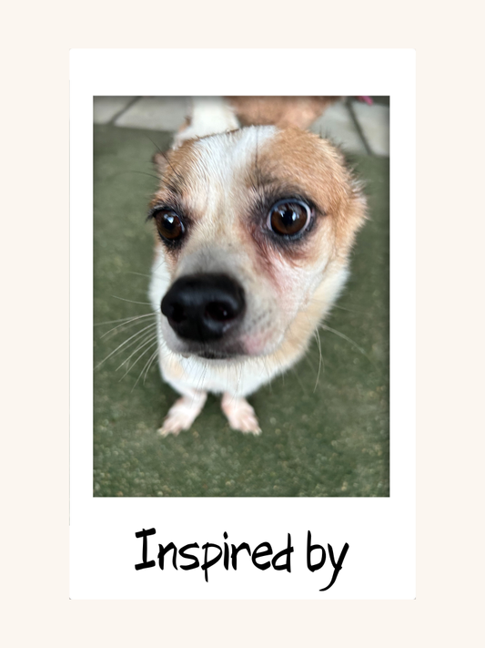Pocket Joy Pup Phone Case