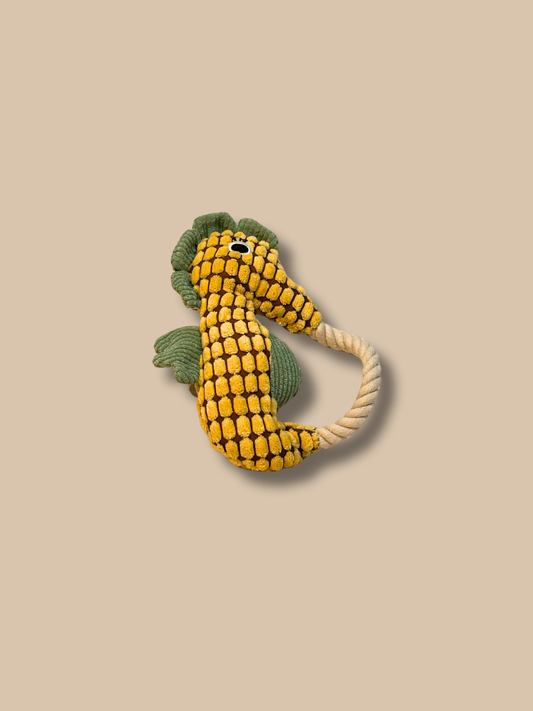 Searhorse Ring Toy