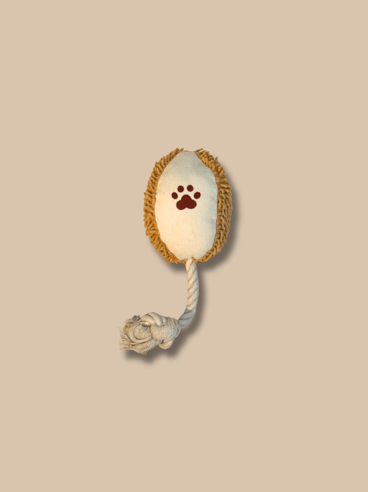 Fetchie Football Toy