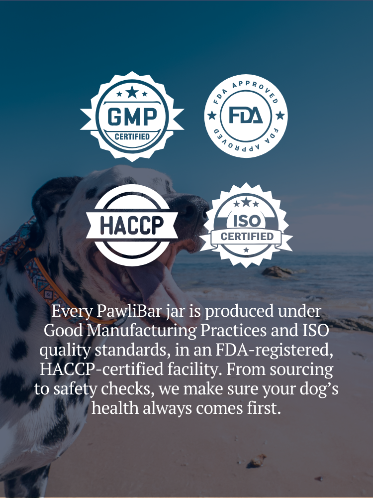 PawliBar Everyday Wellness Probiotic Chew for Digestive & Immune Health