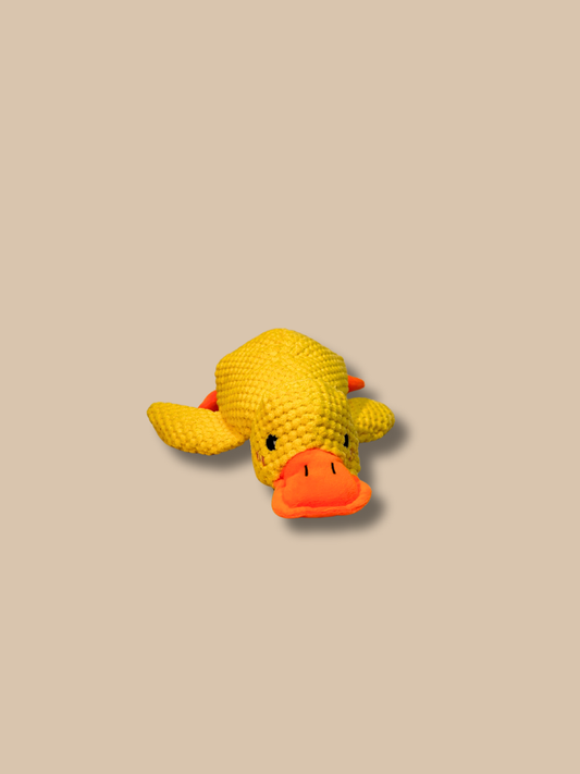 Sunny Duck Toy