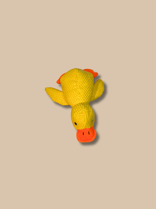 Sunny Duck Toy