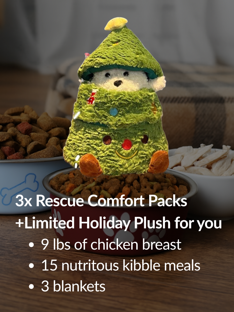 The Love Wrapped Bundle