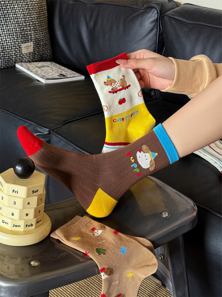 Playful Dachshund Socks 3-Pack Bundle