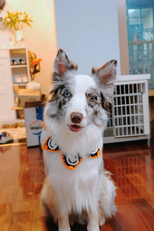 Trick-or-Treat Wrap