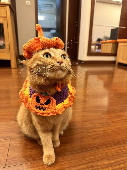 Pumpkin Patch Wrap