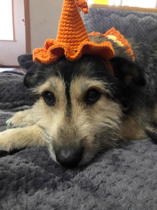 Hope Harvest Hat