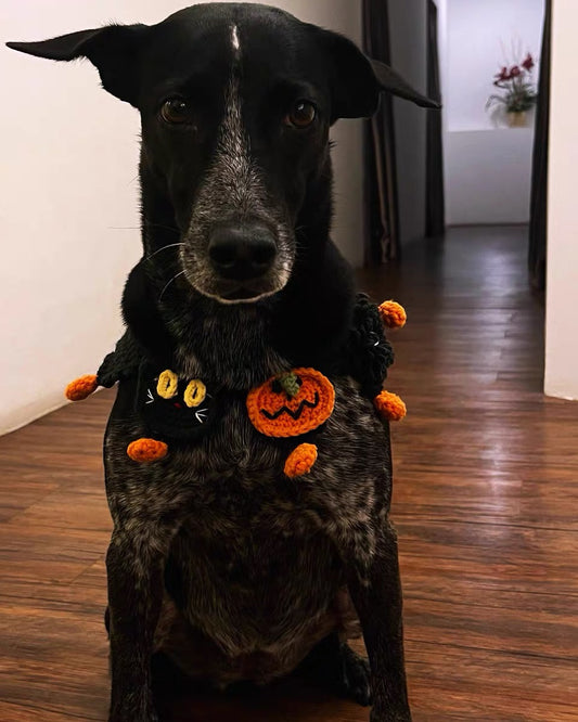 Wag-o-ween Wrap
