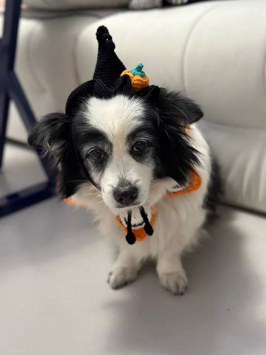 Pumpkin Charm Hat