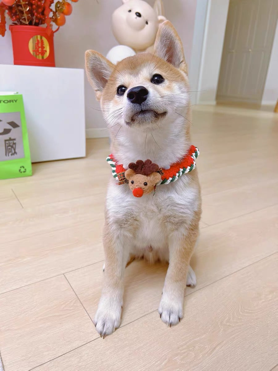 Reindeer Joy Collar