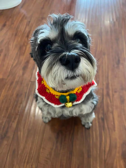 Holiday Bloom Collar