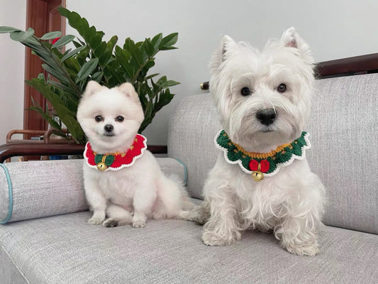 Holiday Bloom Collar