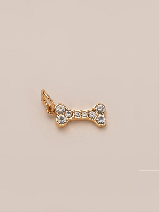 Lucky Bone Charm
