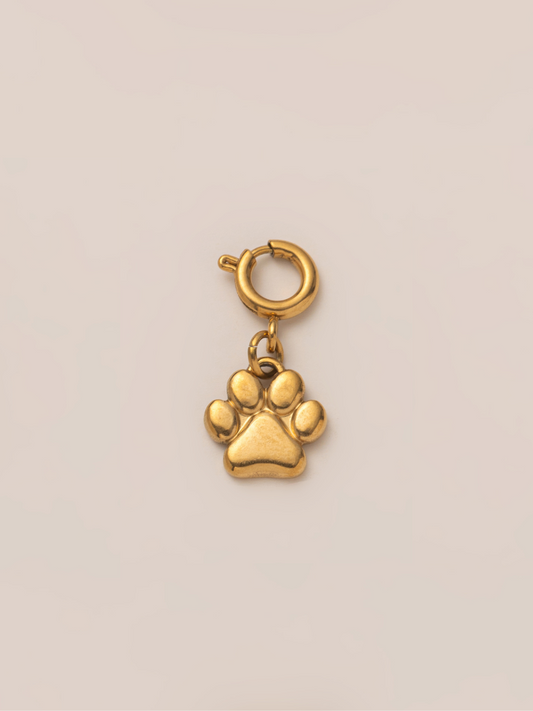 Lucky Steps Charm