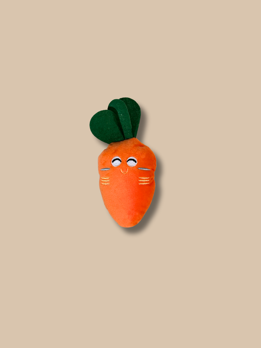 Silly Carrot Toy