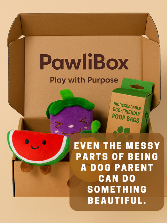 Monthly PawliBox: Play with Purpose